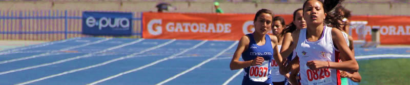 Certificado de Analista en Rendimiento Deportivo - CARD