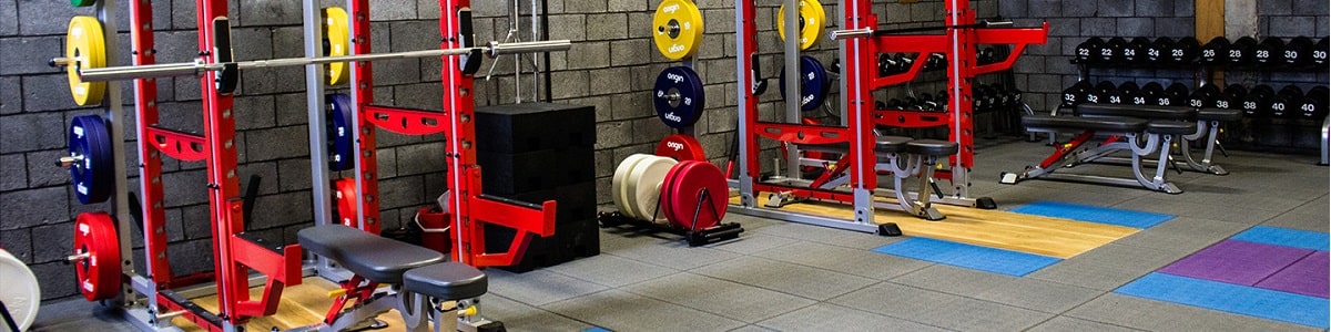 Curso de Programación del Entrenamiento Inteligente