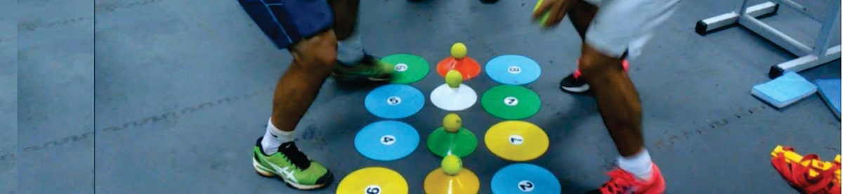 Curso en Neurociencias Aplicadas al Movimiento - Modelo de Intervención Multisensorial (MIMuS)