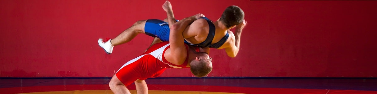 Curso de Introducción al Entrenamiento para Deportes de Combate
