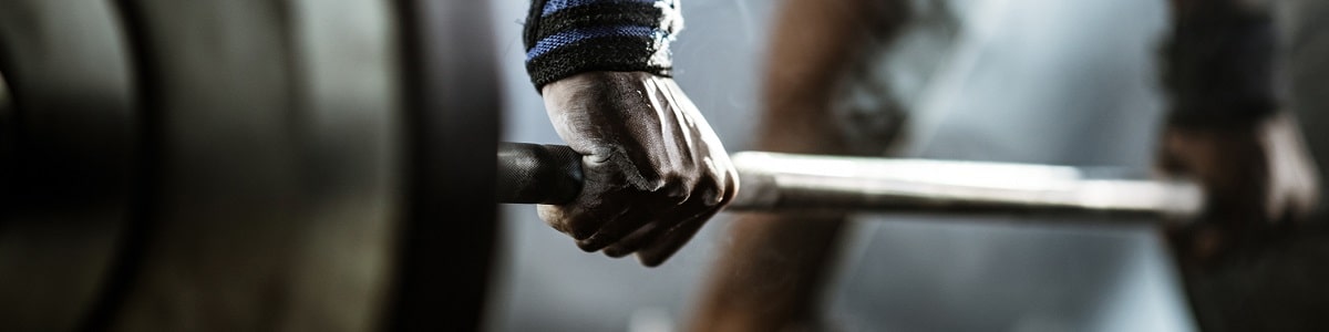 Curso en Fundamentos del Entrenamiento Inteligente