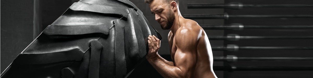 Curso de Entrenamiento de la Fuerza para el Acondicionamiento Físico