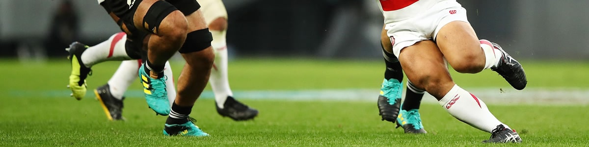 Curso de Entrenamiento de Fuerza Horizontal