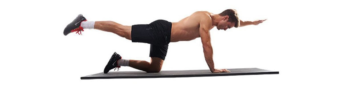 Entrenamiento Basado en el Control Motor