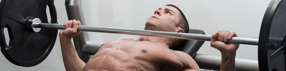 Bases Conceptuales y Mecánicas del Entrenamiento de la Fuerza