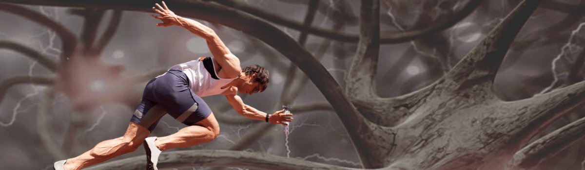 Curso de Fisiología del Ejercicio Aplicada al Entrenamiento y la Nutrición