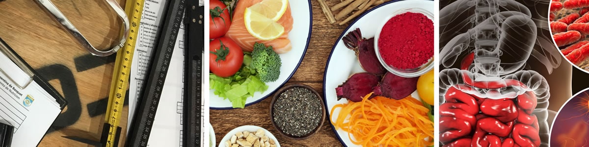 Curso Anual de Nutrición Deportiva para Alto Rendimiento