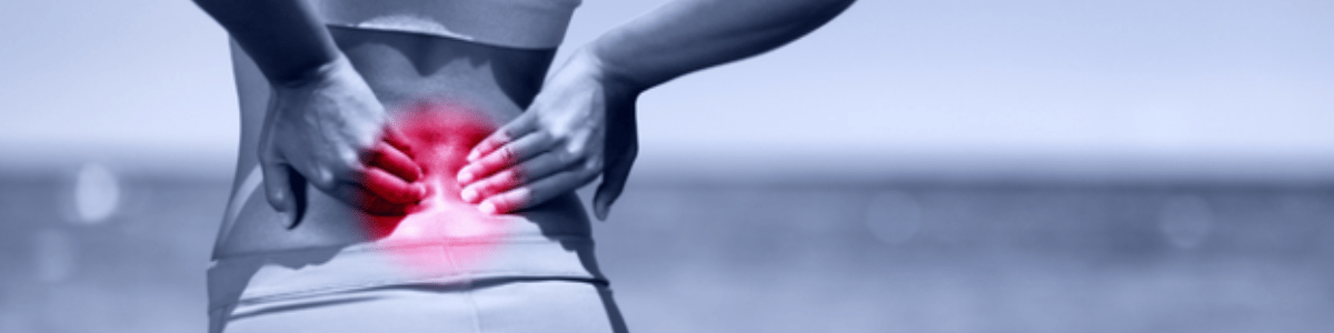 Nocicepción, Dolor y Movimiento