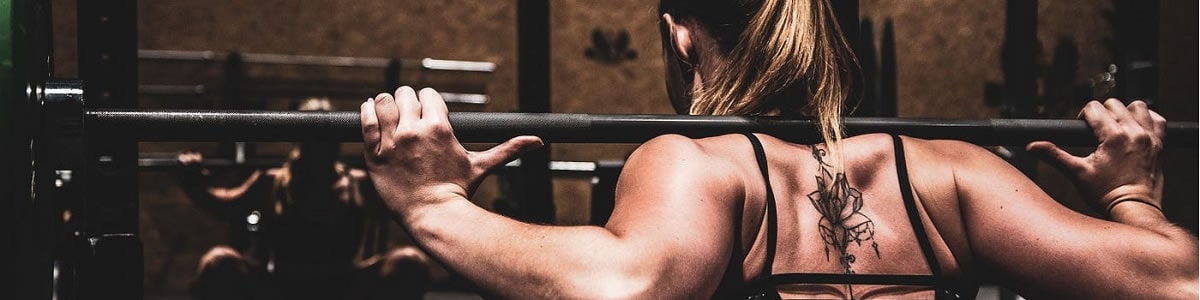 Curso en Evaluación y Corrección de Ejercicios basado en Patrones Básicos del Movimiento