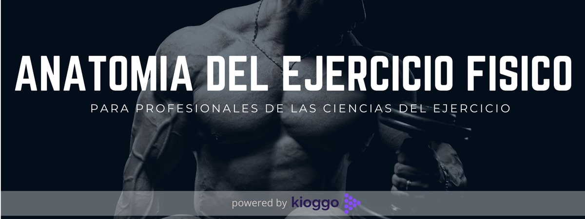 Anatomía del Ejercicio Físico