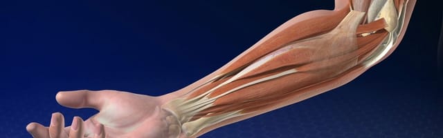 Webinar sobre Lesiones Óseas y Ligamentarias de Codo