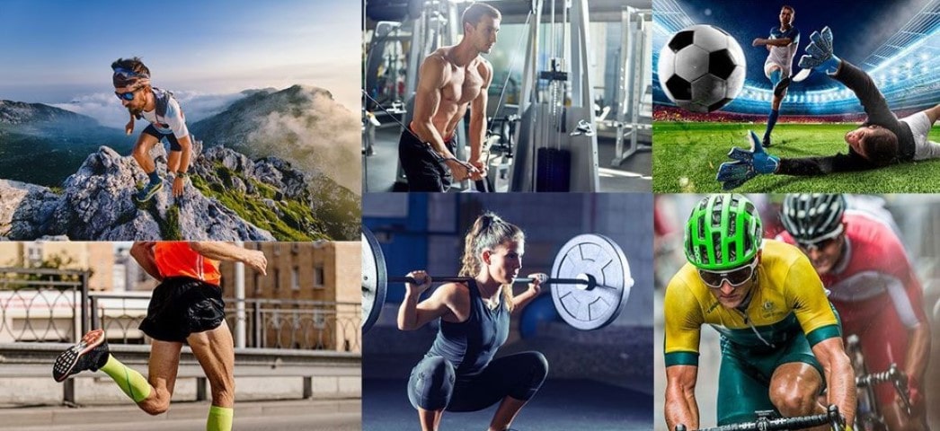 Fisiología Aplicada al Ejercicio: Nivel 1