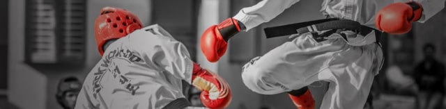 Nutrición en Deportes de Combate