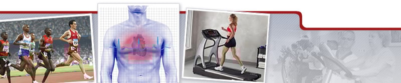 Webinar de Factores de Riesgo, Corazón y Ejercicio Físico