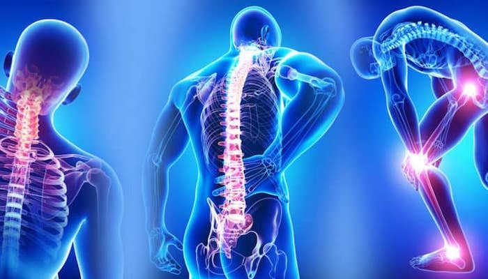 Webinar de Fibromialgia y Prescripción de Ejercicio Físico: Evidencias y Propuestas Prácticas