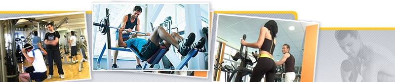 Curso de Programación de Entrenamiento en Sala de Fitness. Elaboración de Rutinas de Entrenamiento, Dinámica de Elección, Ejecución y Corrección de Ejercicios