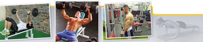 Webinar de Anatomía y Biomecánica del Tren Superior. Aplicación al Entrenamiento en Sala de Fitness