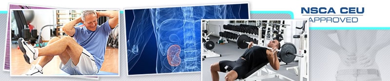 Webinar: Entrenar Cuesta un Riñón