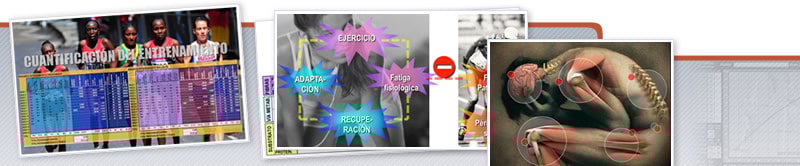 Webinar del Control y la Cuantificación del Entrenamiento Basados en el Modelo DIPER