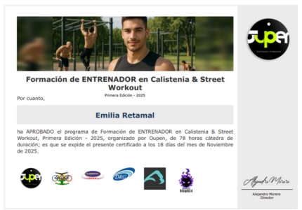 Certificado Final de Aprobación