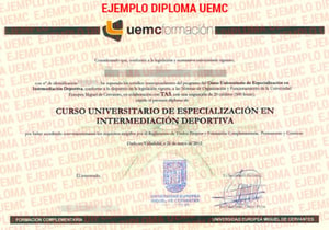 Diploma de Experto
