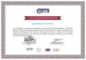Certificado Experto