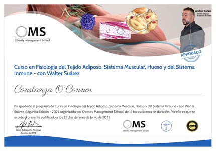 Certificado Final de Aprobación