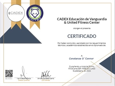 Certificado Final de Aprobación