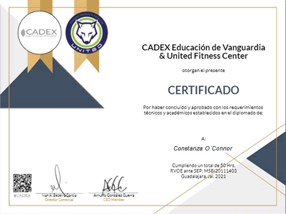 Certificado Final de Aprobación
