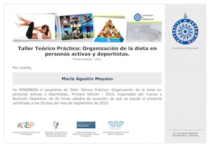 Certificado Final de Asistencia por University of Greenwich
